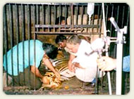 Captive Breeding