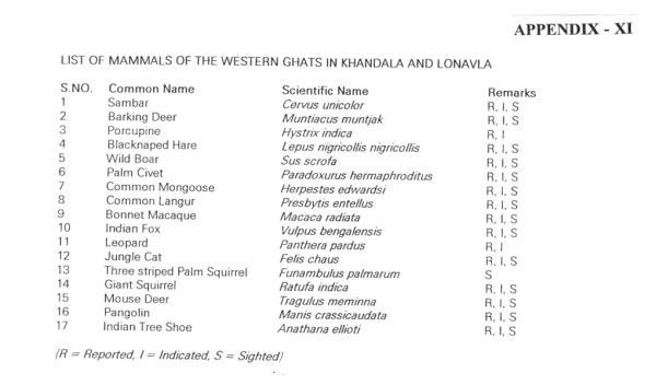 Appendix 11