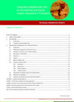 Integration Biodiversity into Environmental and Social Impact Assessment Processes.  The Energy and Biodiversity Publication.