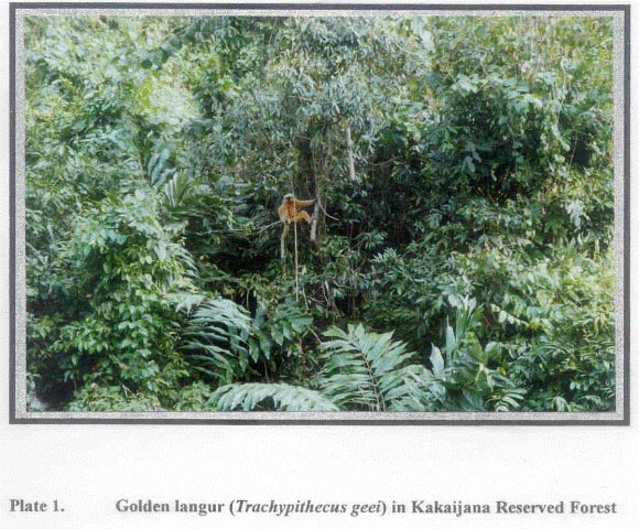 Terrestrial Habitats
