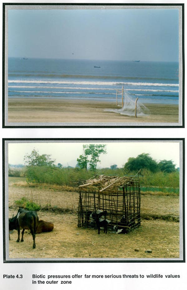 Biotic pressures offer far more serious threats to wildlife values in the outer zone