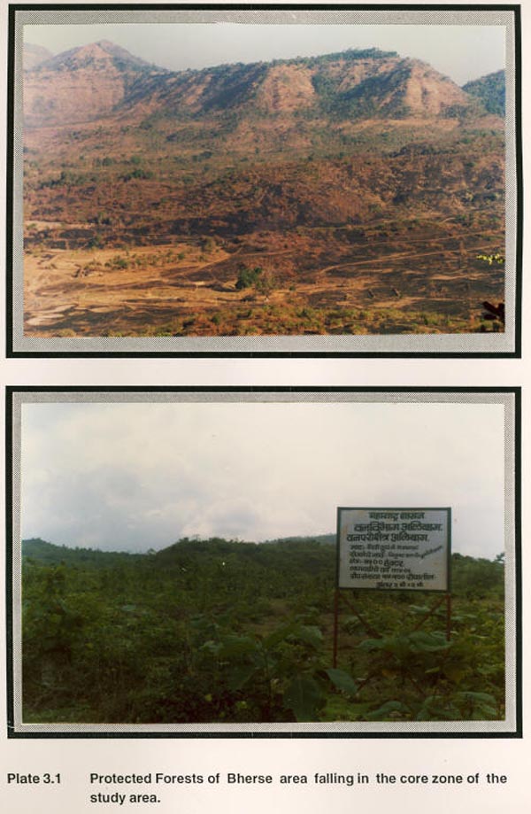 Protected Forest of  Bherse area falling in the core zone of the study area