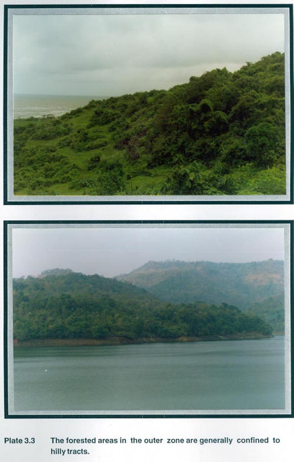 The forested areas in the outer zone are generally confined to hilly tracts