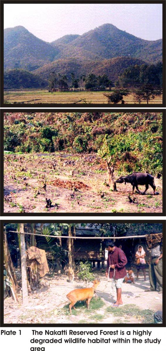 The Nakkati Reserved Forest is a Highly Degraded Wildlife Habitat within 10 km Radial Zone of Proposed Project Location