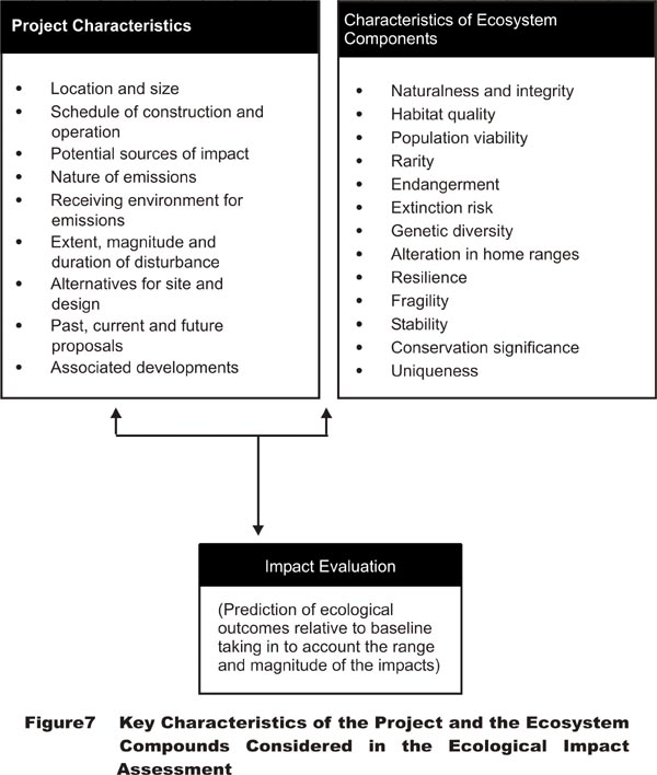 Key characteristics of the Project and the Ecosystem Components considered in the Ecological Impact Assessment