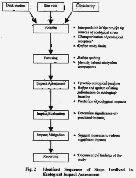 Methodological Approach