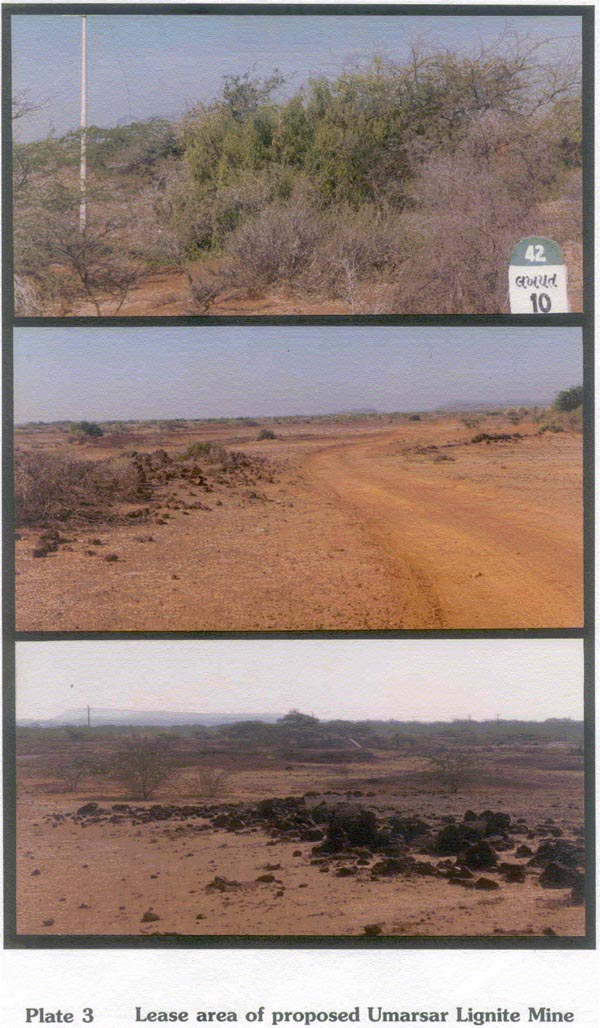 Lease area of proposed Umarsar Lignite Mine