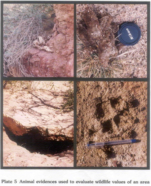 Animal evidences used to evaluate wildlife values of an area