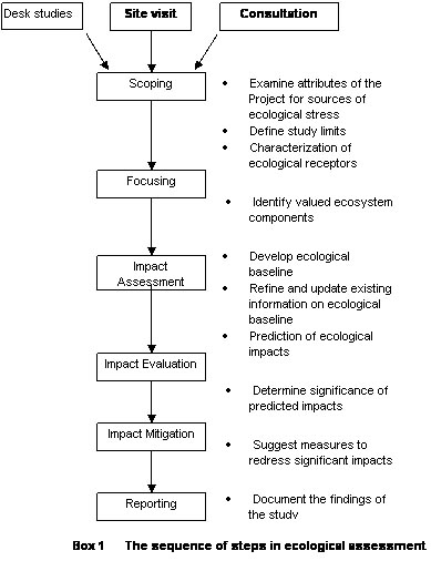 Methodological Approach