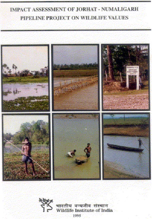 Impact Assessment of Jorhat-Numaligarh Pipeline Project on Wildlife Values. WII-EIA Technical Report 13. (1995)
