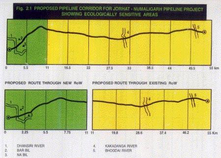 Methodology Methodology