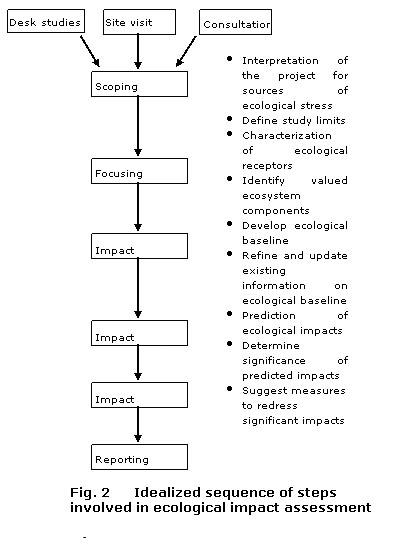 Methodology Methodology