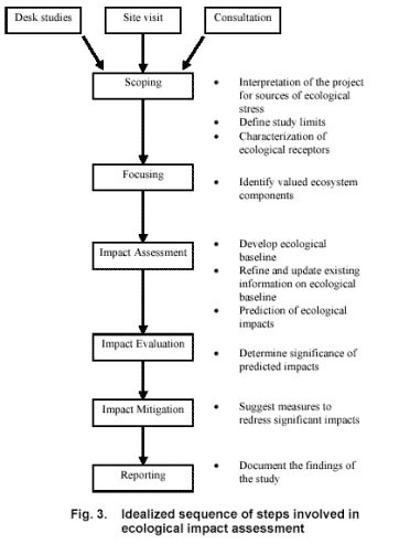 Methodology