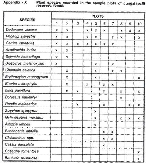 Appendix 10