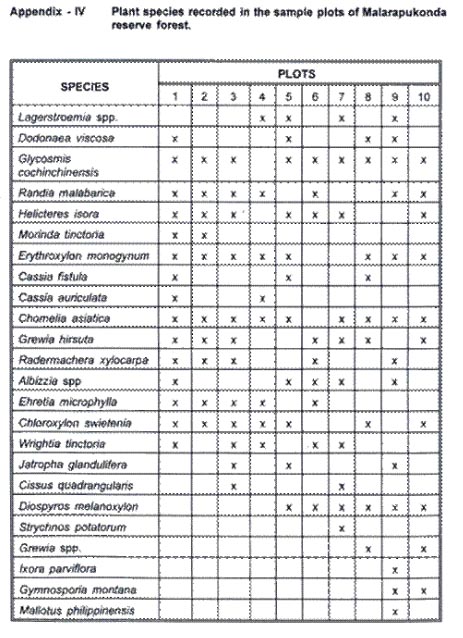 Appendix 4