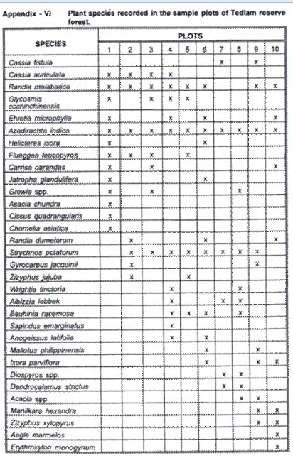 Appendix 6