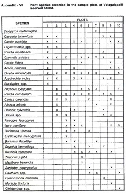 Appendix 7