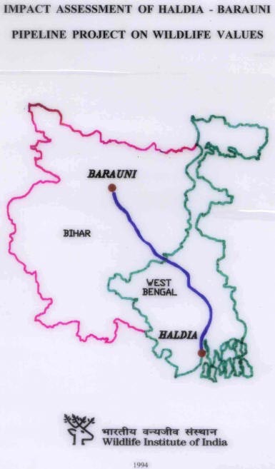 Impact Assessment of Haldia - Barauni Pipeline Project on Wildlife Values. WII-EIA Technical Report 4. (1994).
