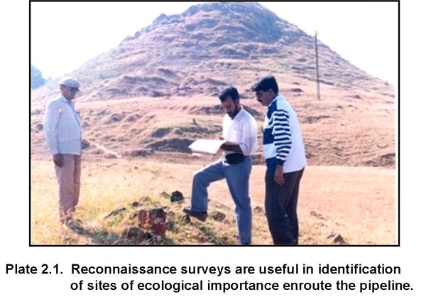 Methodology Methodology