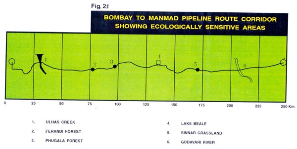 Methodology Methodology