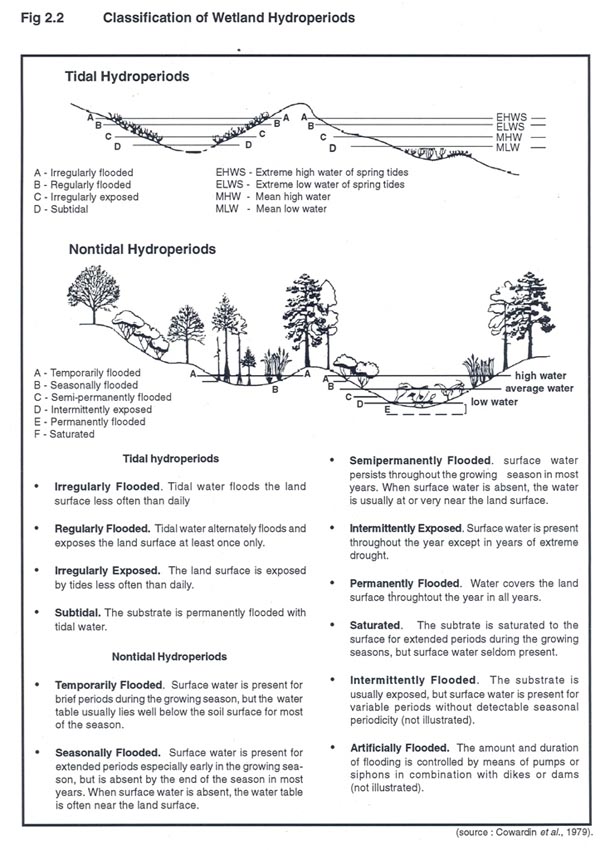 Methodology Methodology
