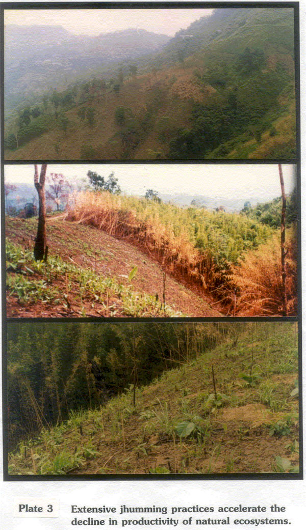 Wildlife values of the areas