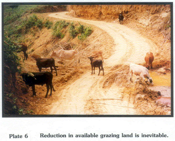 Impacts of landtake
