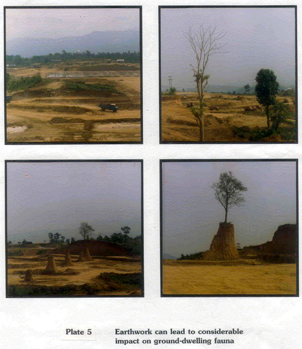 Impacts of earthwork