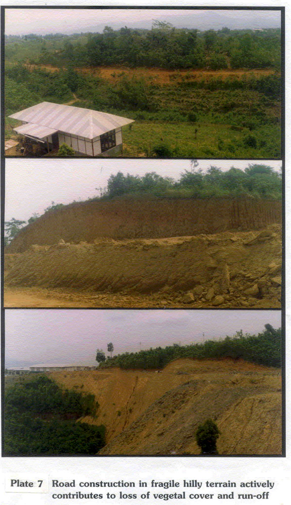 Impacts of road construction and expansion