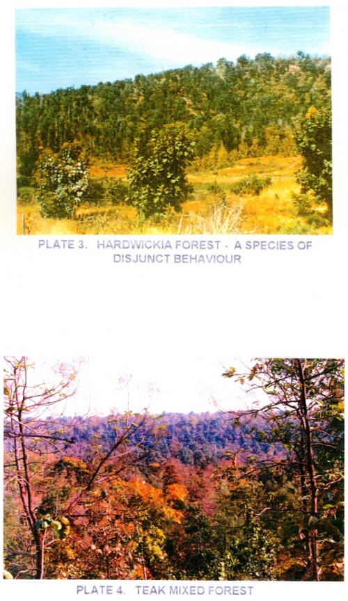 Vegetation mapping Vegetation mapping
