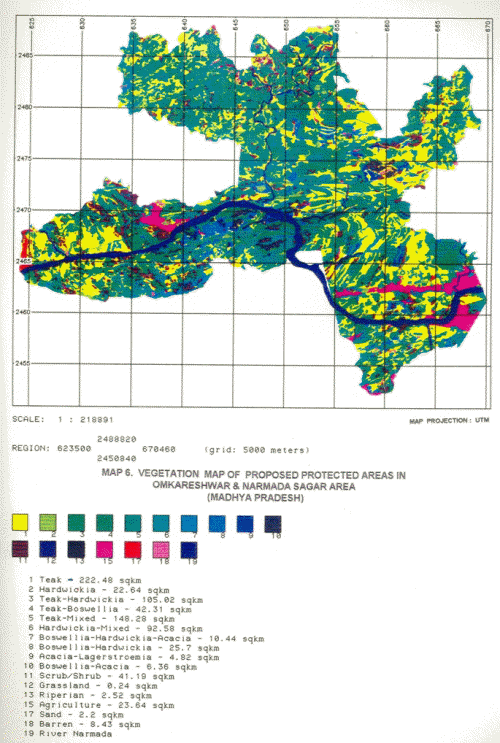 Vegetation mapping Vegetation mapping