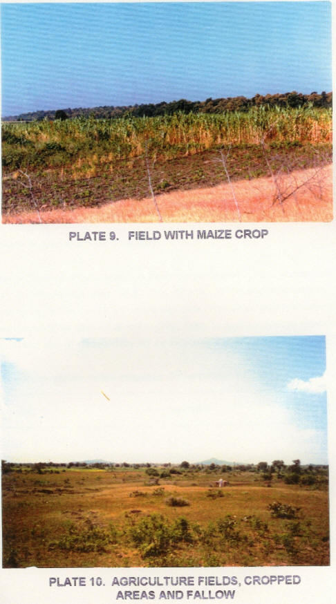 Landuse mapping Landuse mapping