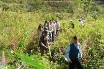 Advanced Postgraduate Diploma Course in Wildlife Management November 15 - 19, 2010