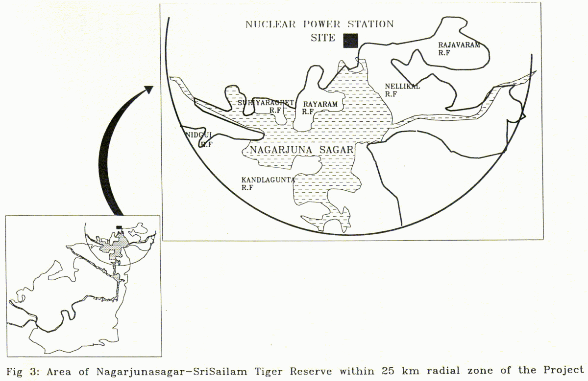 Nuclear Power Project