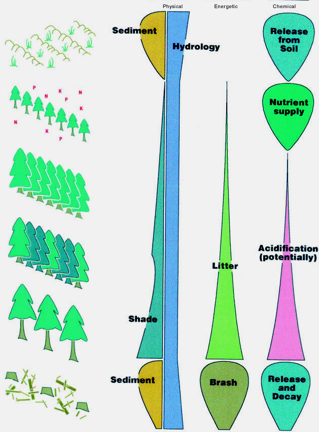 Guidelines to reduce the impacts of forest clearing
