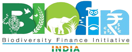 Bio Fin Project Logo