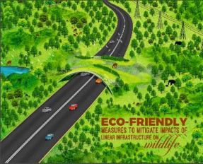 Best Practice Guidance document “Eco-Friendly Measures to Mitigate Impacts of Linear Infrastructure on Wildlife