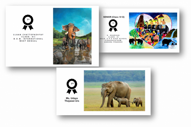 8_WORLD_ELEPHANT_DAY_2026