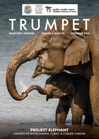 Trumpet - Quarterly Journal - Volume - 5, Issue - 2, December - 2025