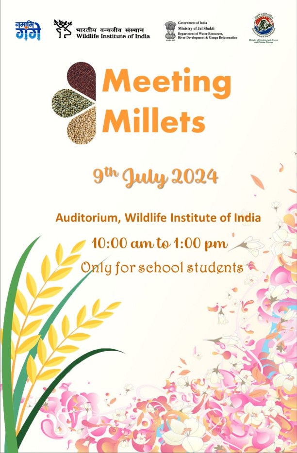 Fun activities "Touch and feel" the grains and a quiz competition