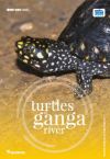 TURTLE POSTER Image unavailable