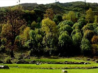 Govind Pashu Vihar Wildlife Sanctuary