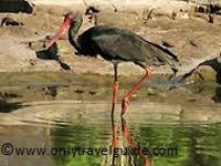 Hastinapur Wildlife Sanctuary