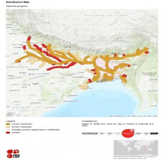 Dolphin Distribution Map