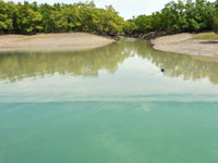 Sundarban Biosphere Reserve
