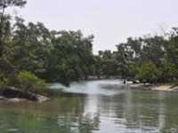 Sundarban Biosphere Reserve