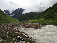 Valley of Flower National Park 