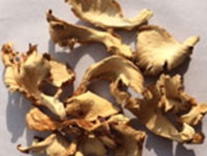 Solar dryer technology and the dried products