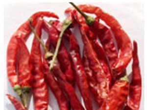 Solar dryer technology and the dried products