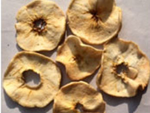 Solar dryer technology and the dried products